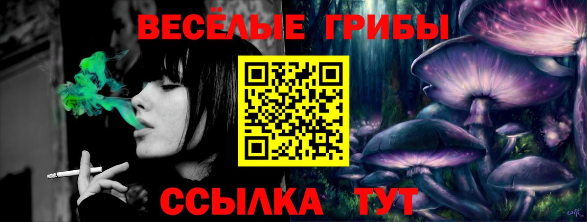 Галлюциногенные грибы мицелий  Вход с VPN  Камышлов  Галлюциногенные грибы мухоморы 