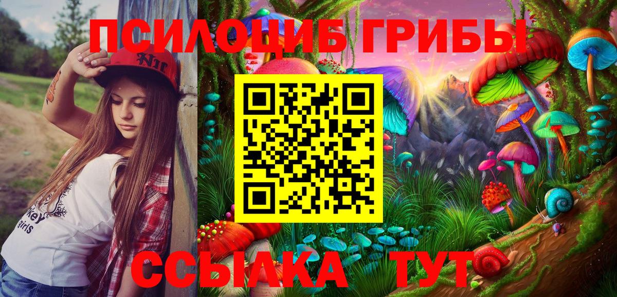 Галлюциногенные грибы ЛСД Камышлов